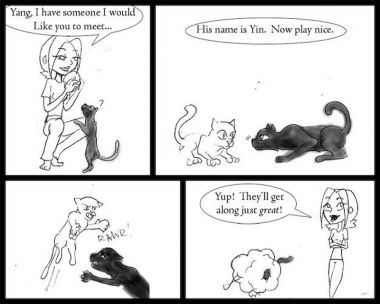 Click for full size