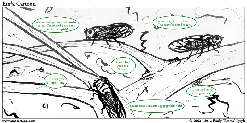 What Cicadas Are Really Saying